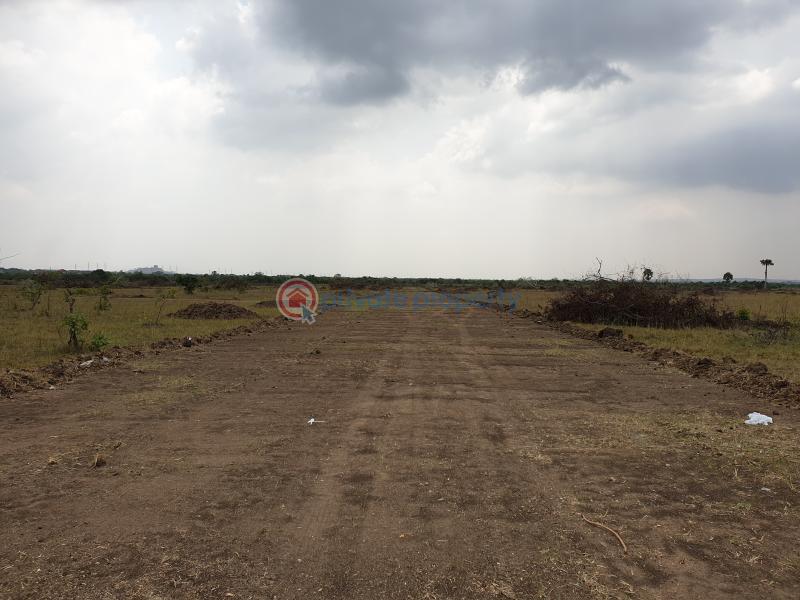 Land For Sale Ningo Prampram District Accra - 4