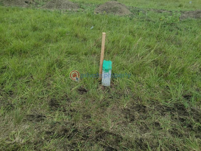 Land For Sale Shai Hills School Junction Shai Hills Shai Osudoku Accra - 2