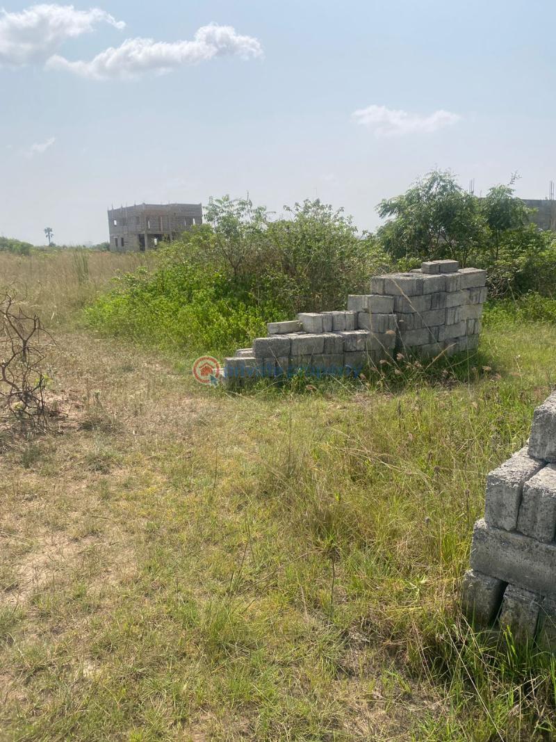 Land For Sale Afienya Tema Accra - 1