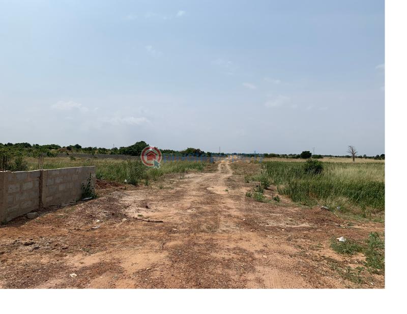 Land For Sale Tsopoli Police Barrier Tsopoli Ningo Prampram District Accra - 2