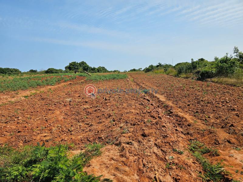Land For Sale Ningo Prampram District Accra - 3