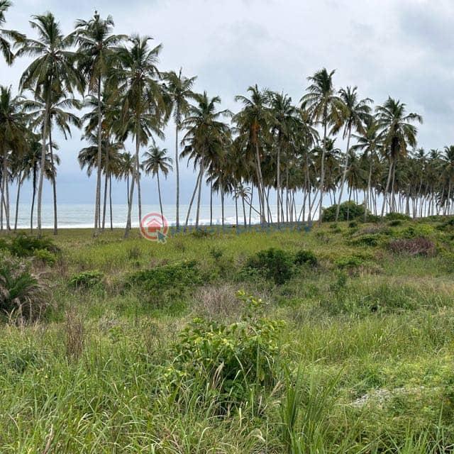 Land For Sale Winneba Mankoadze Area Effutu Municipal Central Region