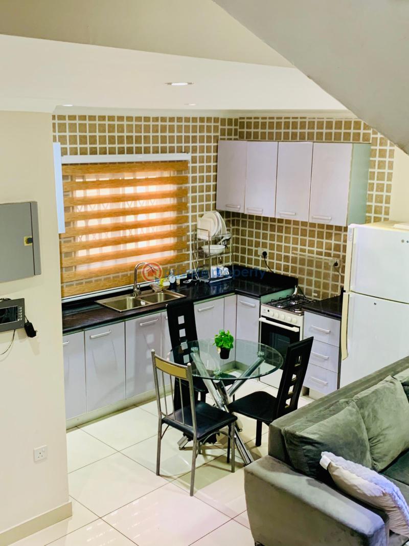 2 bedroom Apartment For Rent North Ridge Accra - 15