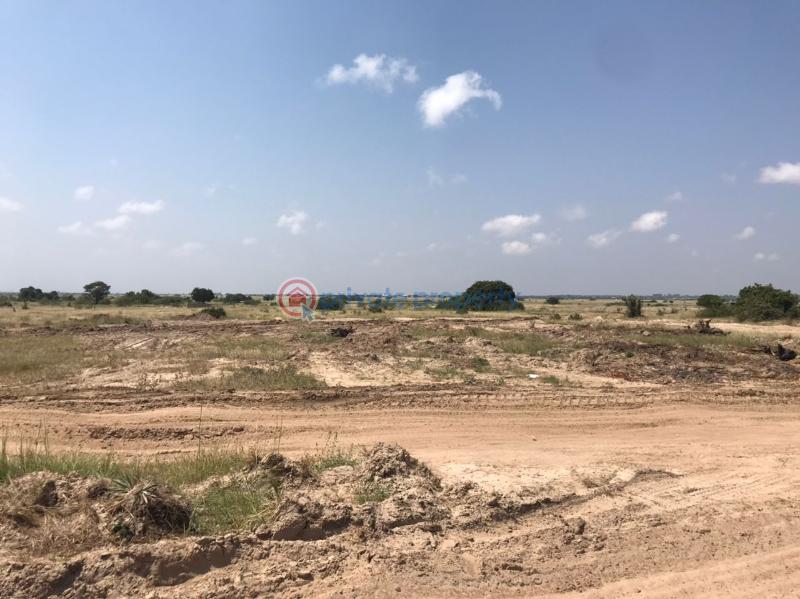 Land For Sale Central University Tsopoli Ningo Prampram District Accra - 0