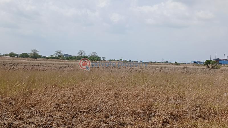 Land For Sale Segleme Affordable Housing Bueko Ningo Prampram District Accra - 2