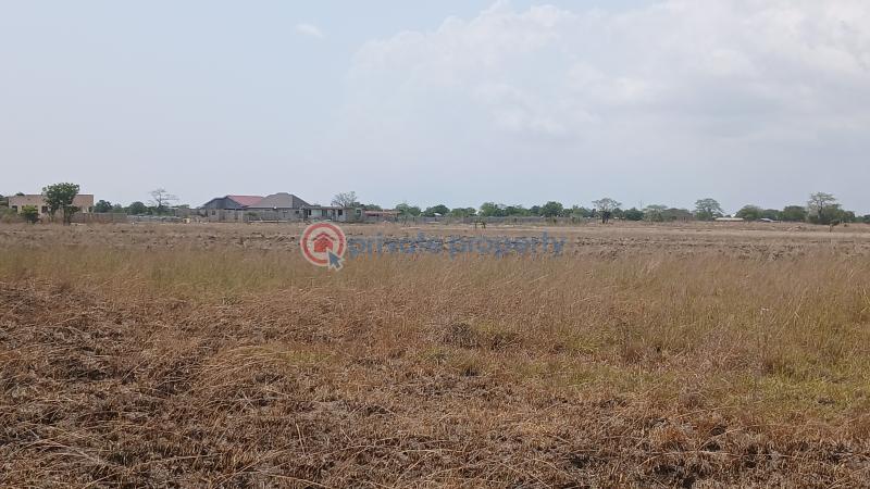 Land For Sale Central University Destination Bueko Ningo Prampram District Accra - 1