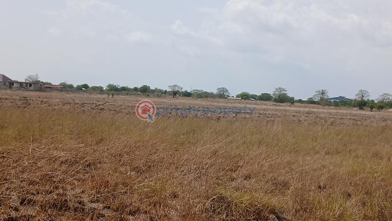 Land For Sale Segleme Affordable Housing Bueko Ningo Prampram District Accra - 3