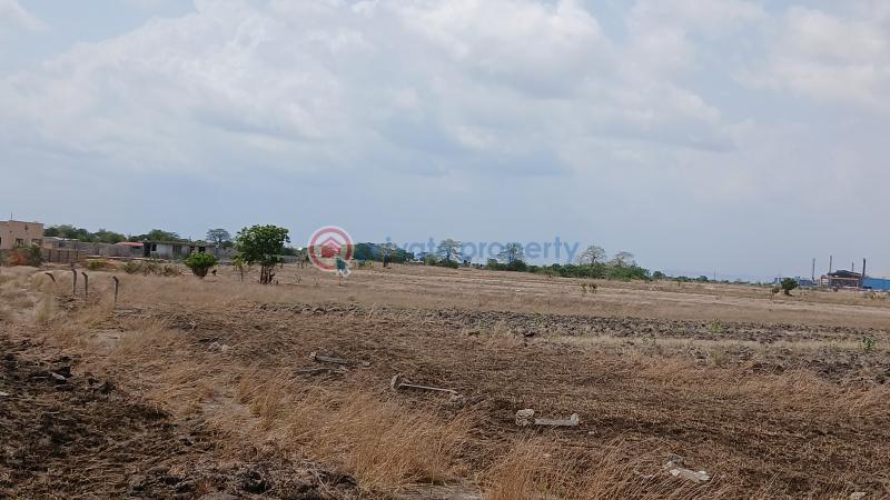 Land For Sale Central University Destination Bueko Ningo Prampram District Accra - 1