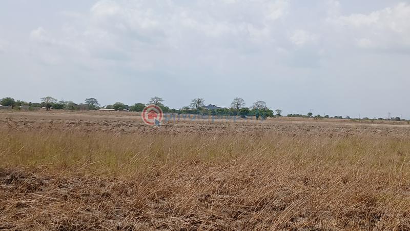 Land For Sale Segleme Affordable Housing Bueko Ningo Prampram District Accra - 2