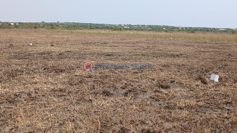 Land For Sale Central University Destination Bueko Ningo Prampram District Accra - 1