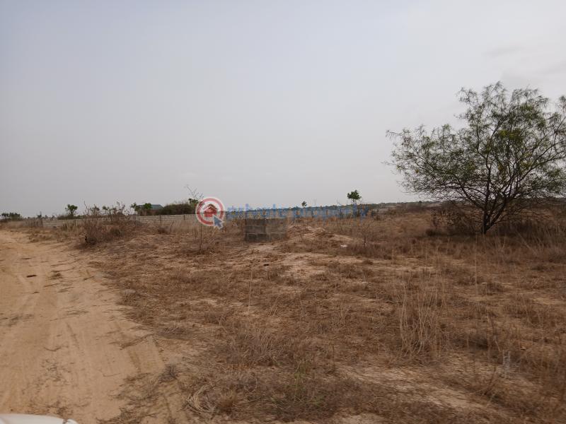 Land For Sale Tsopoli Ningo Prampram District Accra - 1