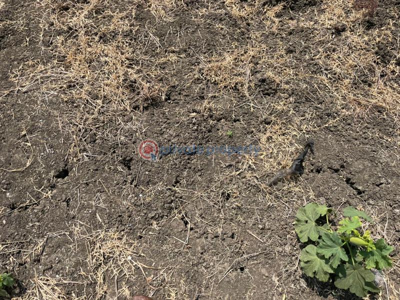 Land For Sale Tsopoli Ningo Prampram District Accra - 0