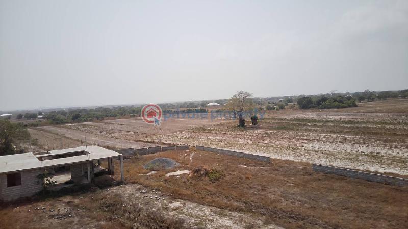 Land For Sale Central University Tsopoli Ningo Prampram District Accra - 3