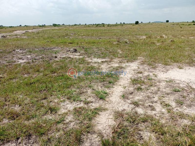 Mixed use Land For Sale Tsopoli Ningo Prampram District Accra - 1