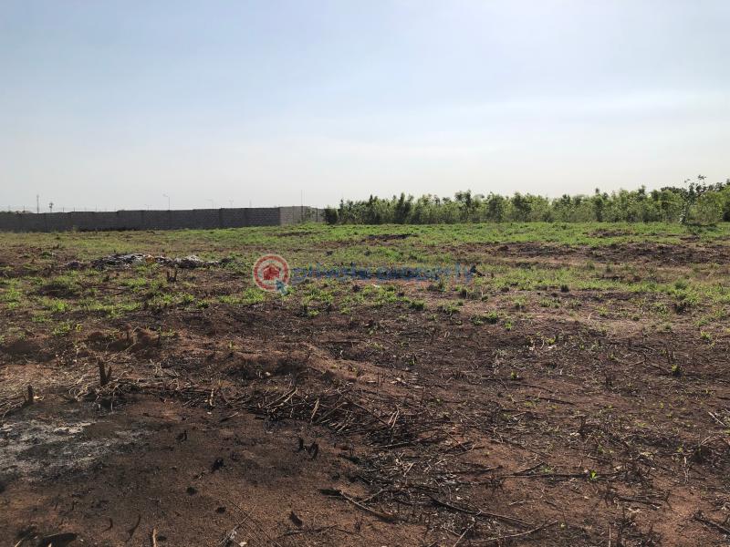 Industrial Land For Sale Aviation Adenta Municipal Accra - 2