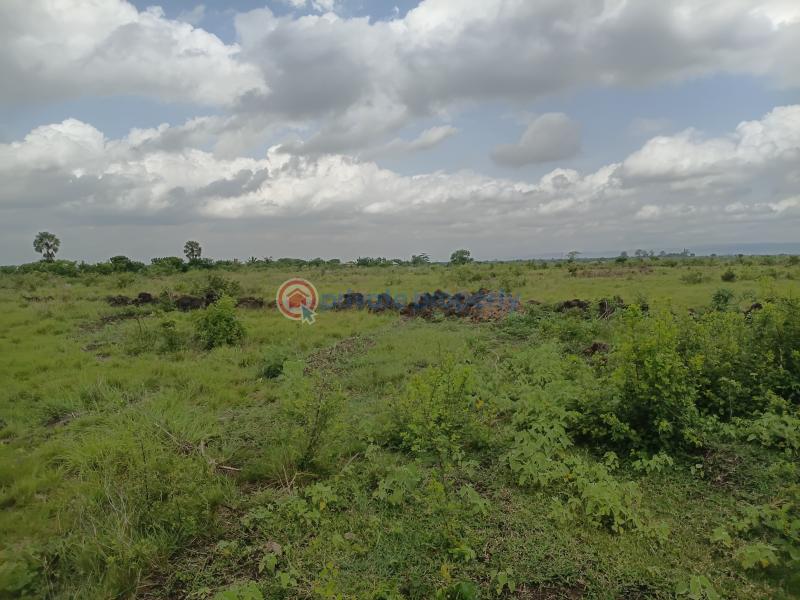 Land For Sale Shai Osudoku Accra - 2