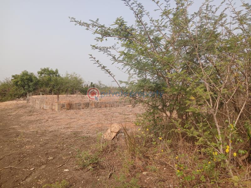 Land For Sale Tema Accra - 6