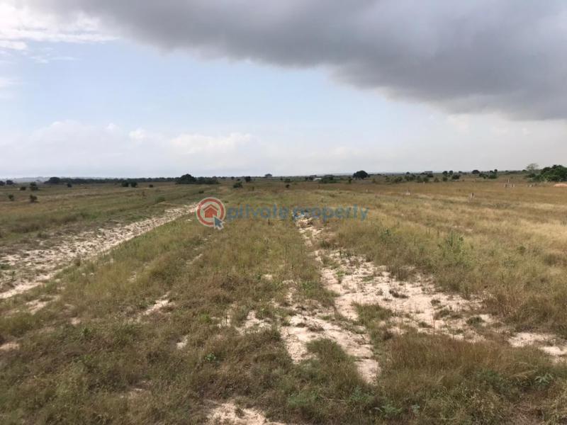 Land For Sale Central University Dawhenya Ningo Prampram District Accra - 1