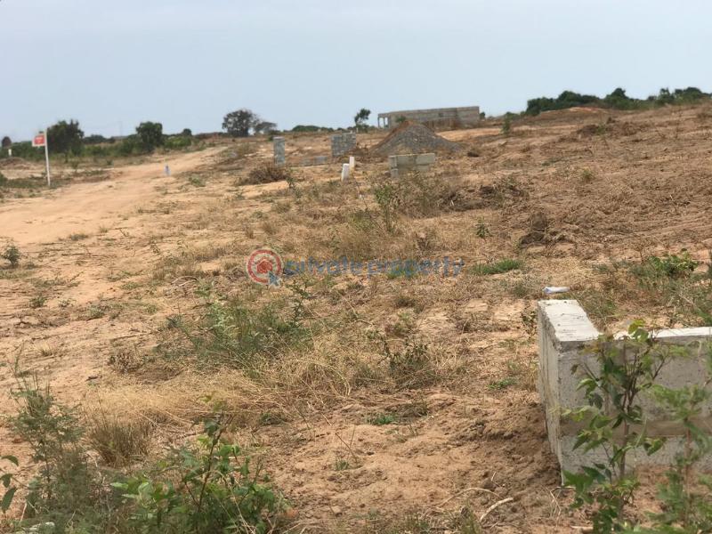 Land For Sale Central University Dawhenya Ningo Prampram District Accra - 0
