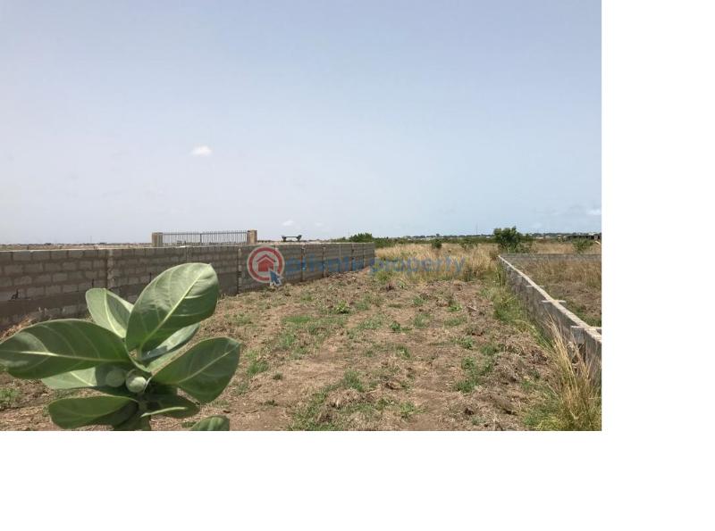 Land For Sale Central University Dawhenya Ningo Prampram District Accra - 0