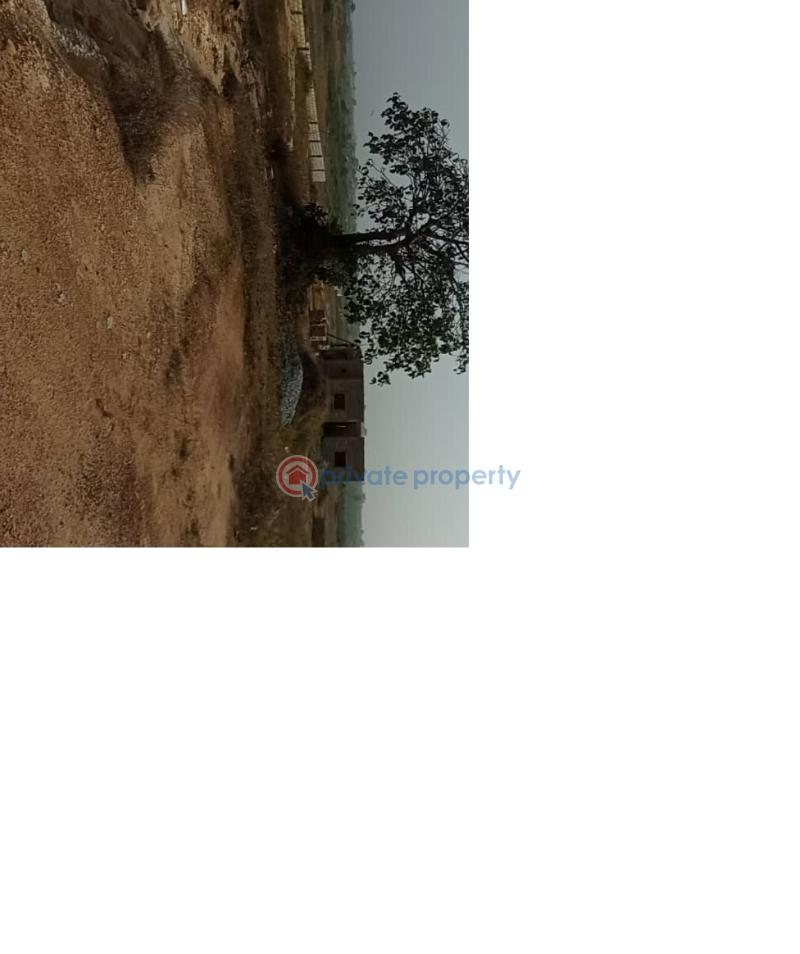 Land For Sale Larkpleku Central University Dawhenya Ningo Prampram District Accra - 2