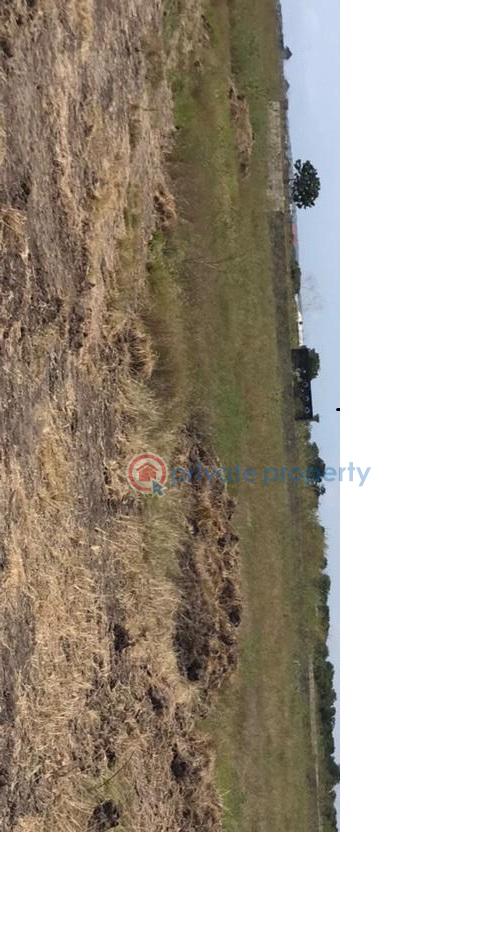 Land For Sale Buerko B5 Plus Dawhenya Ningo Prampram District Accra - 1