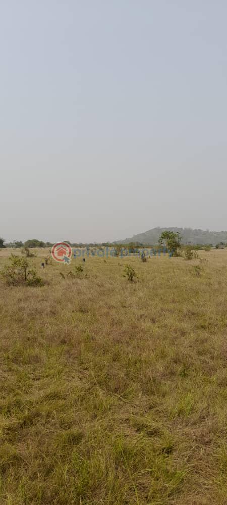 Land For Sale Shai Osudoku Accra - 0