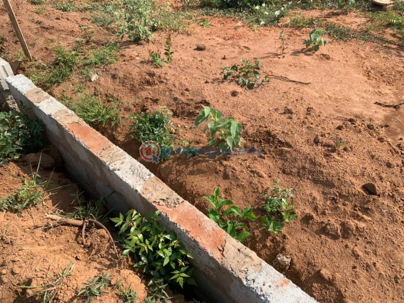 Land For Sale Adom Estate Beverly Hills Community 25 Tema Accra - 2