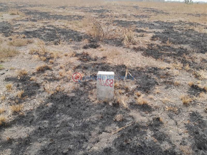 Land For Sale Tema Accra - 4