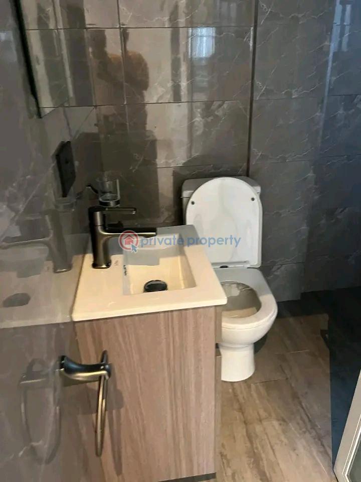 1 bedroom Apartment For Rent Adjiringanor East Legon Accra - 2