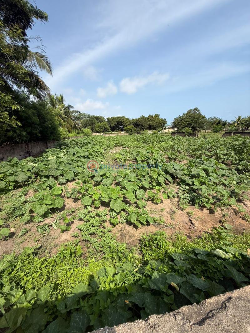 Land For Sale Kokrobite Ga South Municipal Accra - 3