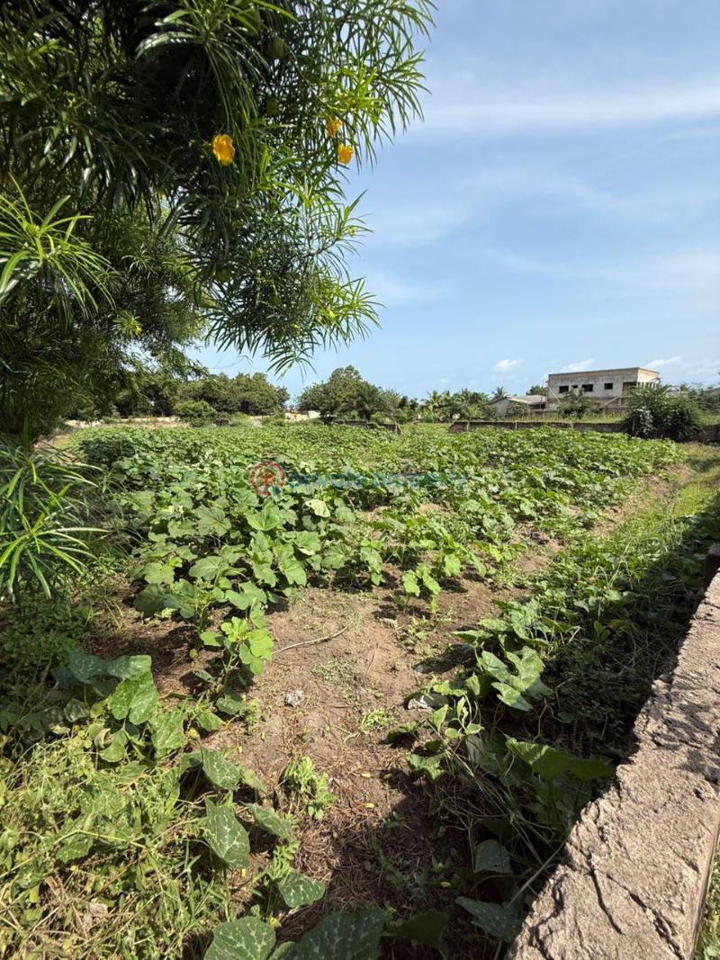 Land For Sale Kokrobite Ga South Municipal Accra - 1