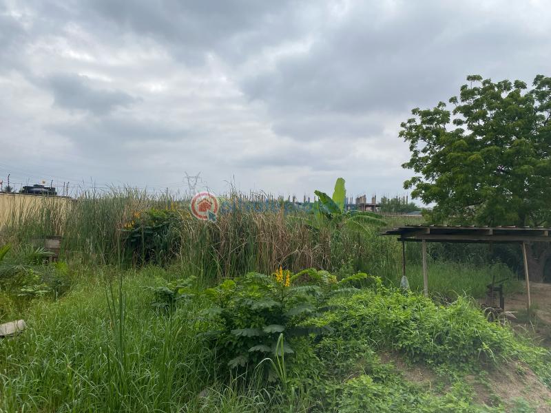 Land For Sale Ghana Flag Oyarifa La Nkwantanang Madina Municipal Accra - 4