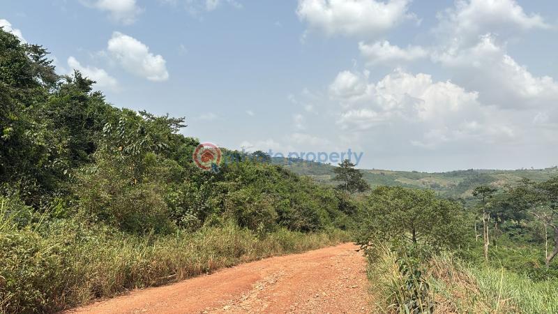 Land For Sale Aburi Akuapim South Municipal Eastern Region - 1