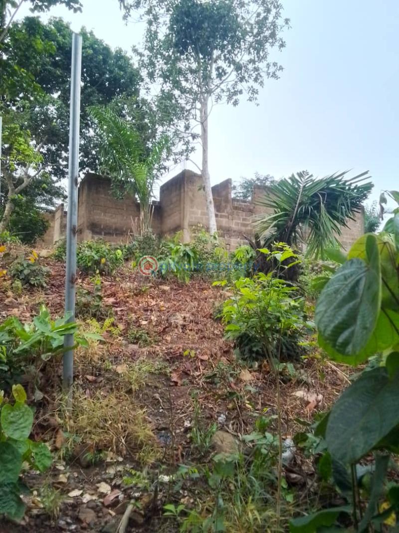 Land For Sale Aburi Akuapim South Municipal Eastern Region - 1