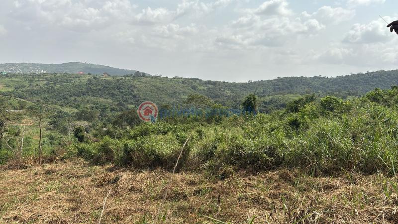 Land For Sale Aburi Akuapim South Municipal Eastern Region - 4