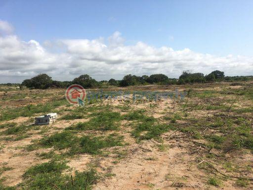 Land For Sale Central University Zion City Prampram Ningo Prampram District Accra - 2