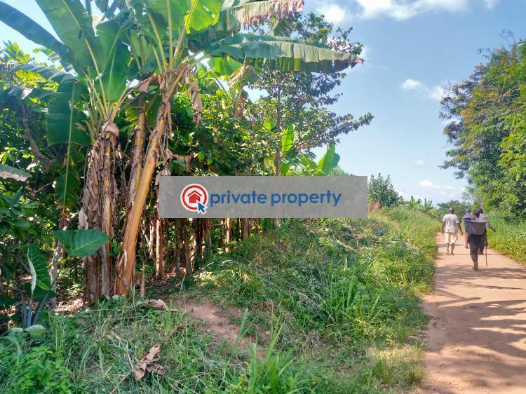 Commercial Land For Sale Akuapim North Eastern Region - 2