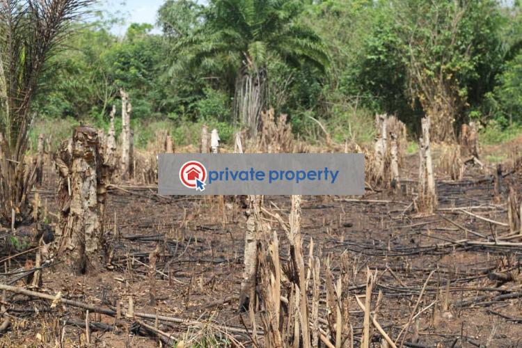 Land For Sale &nbsp;mamfe Akuapim North Eastern Region - 1