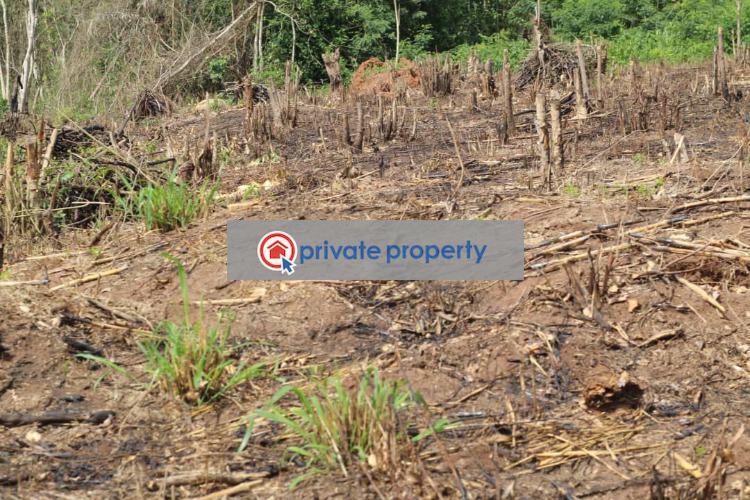 Land For Sale &nbsp;mamfe Akuapim North Eastern Region - 4