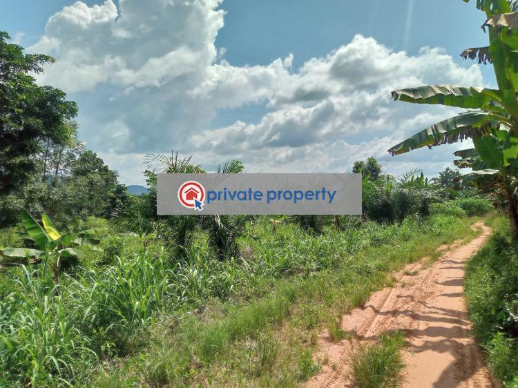 Commercial Land For Sale Akuapim North Eastern Region - 1
