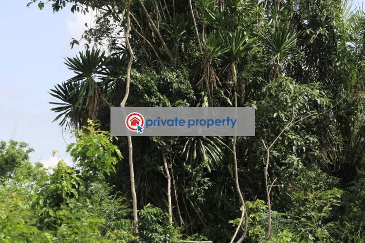 Land For Sale &nbsp;mamfe Akuapim North Eastern Region - 14