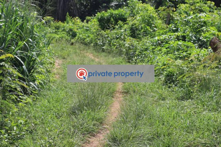 Land For Sale &nbsp;mamfe Akuapim North Eastern Region - 13
