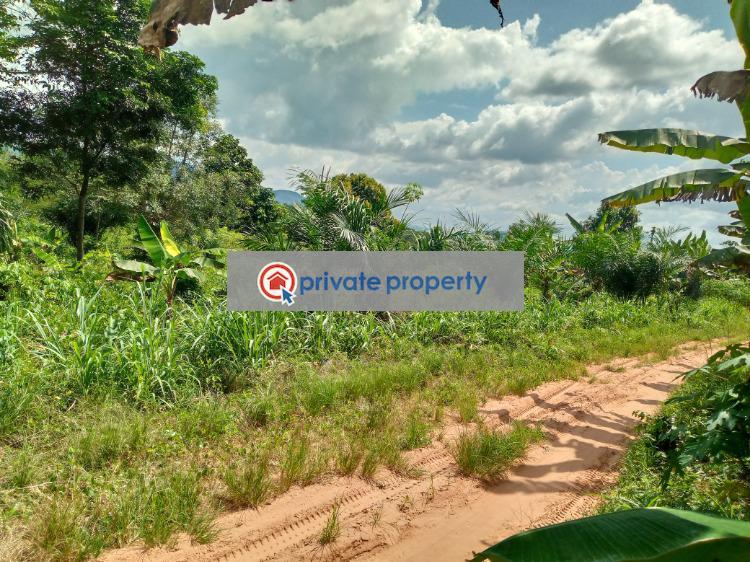 Commercial Land For Sale Akuapim North Eastern Region - 3