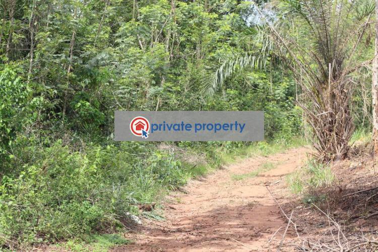 Land For Sale &nbsp;mamfe Akuapim North Eastern Region - 3