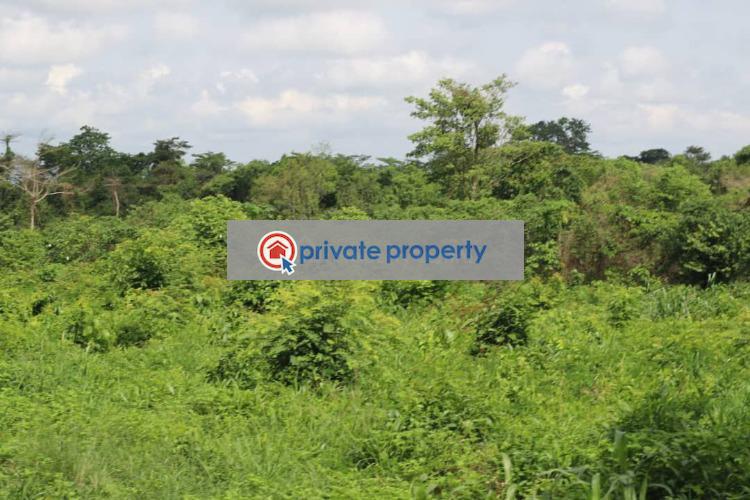 Land For Sale &nbsp;mamfe Akuapim North Eastern Region - 2