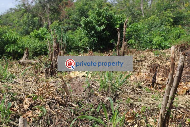 Land For Sale &nbsp;mamfe Akuapim North Eastern Region - 6