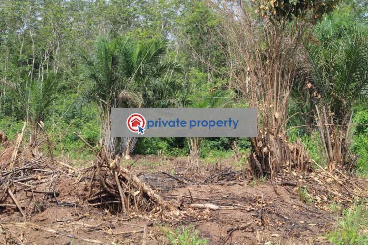 Land For Sale &nbsp;mamfe Akuapim North Eastern Region - 5