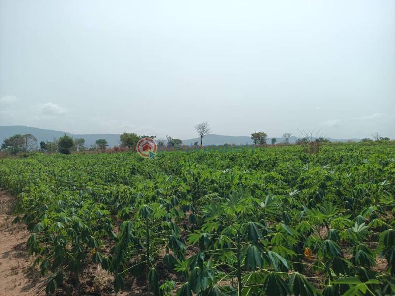 Land For Sale Afadjato South Volta Region - 37