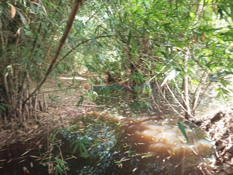 Land For Sale Afadjato South Volta Region - 8